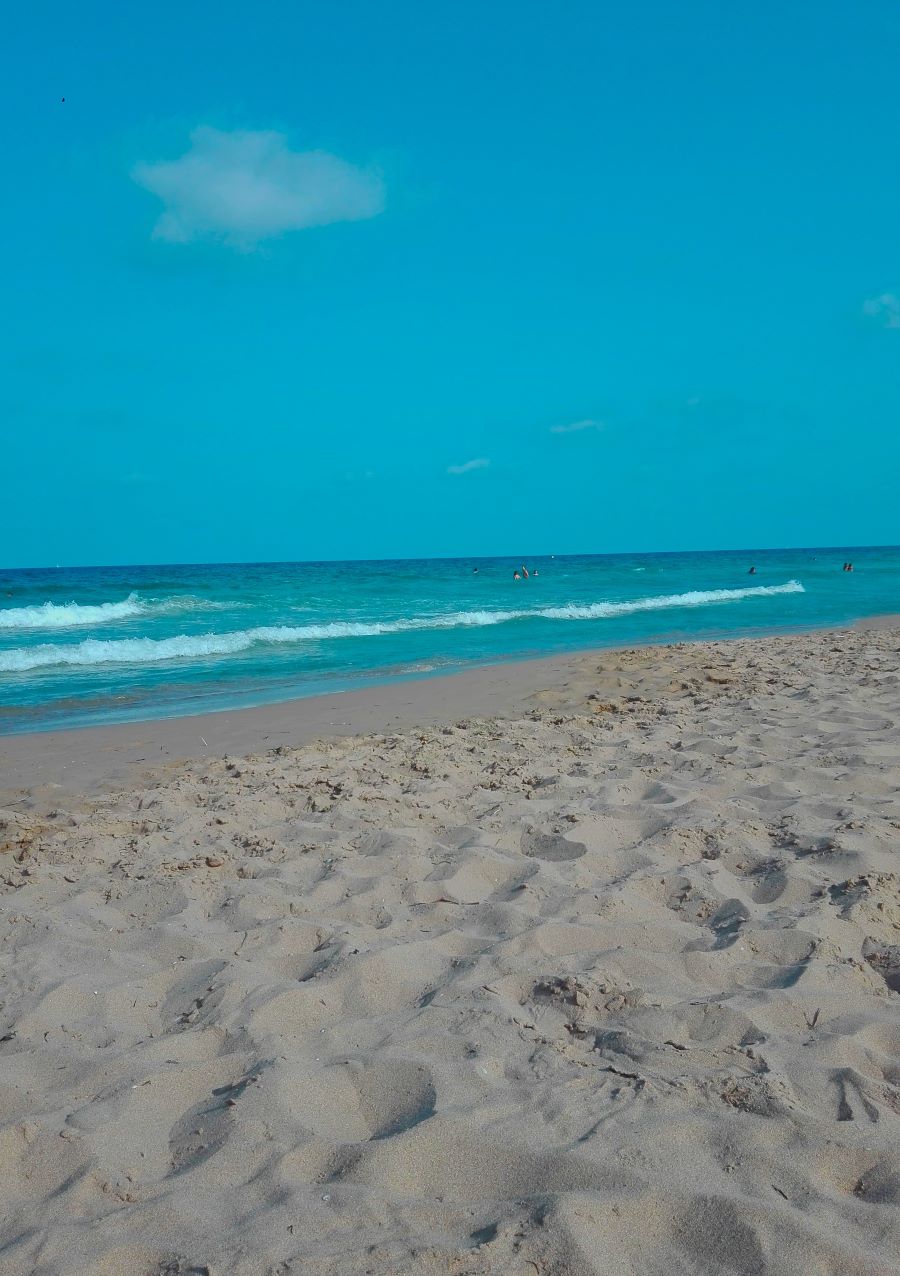 Denia Port Costa Blanca Spain